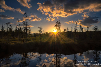 Sunset behind a bog