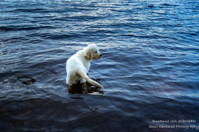 Shanti in Black Lake