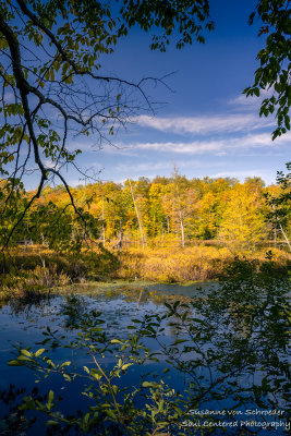 Early fall colors at Perch Lake 2