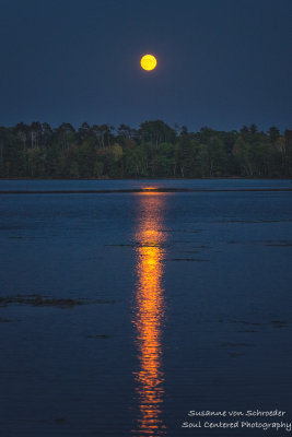 September full moon at the Chippewa Flowage 2