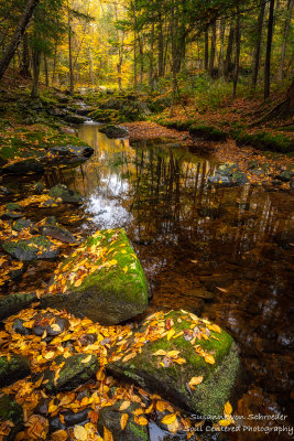 Autumn creek in the Blue Hills