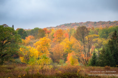 Autumn scene in the Blue Hills