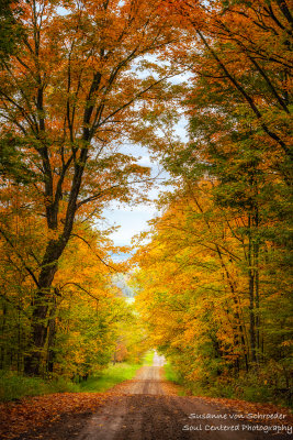 A fall drive through the Blue Hills 2
