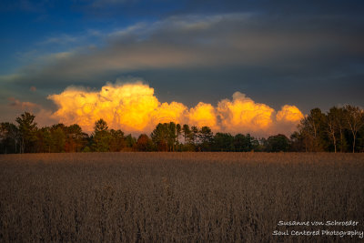 October thunder heads, lit up by the setting sun