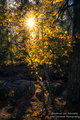 Autumn light at Amnicon Falls State park