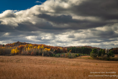 Late autumn scene, Dunn County, WI 2