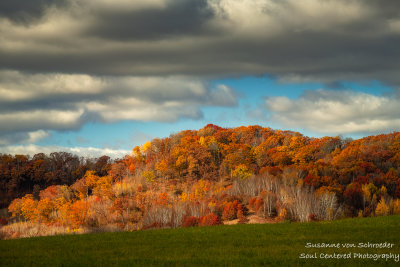 Late autumn scene, Dunn County, WI 5