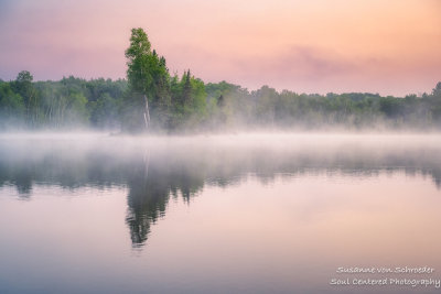 Dawn and fog at Audie Lake 1