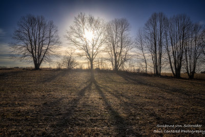 Morning light
