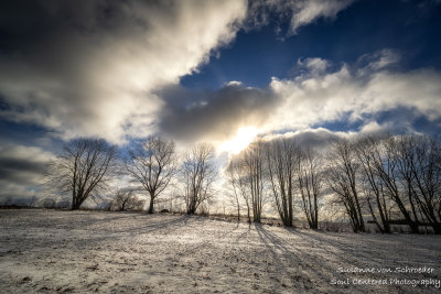 One of the many April snow showers 2