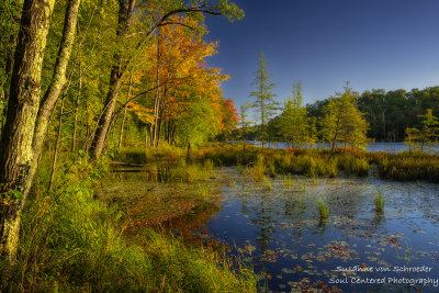 Early fall colors at Perch Lake 1