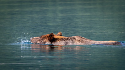 Part 2: The Aleutian Islands