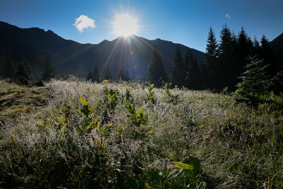 Zadné Med'odoly Valley, Tatra NP