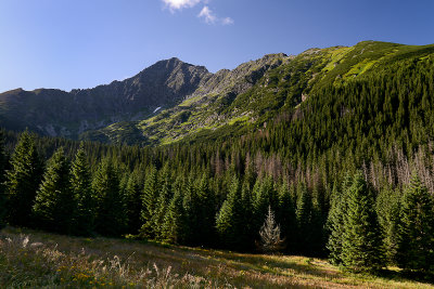 View towards Jahnaci Peak 2230m from Zadné Med'odoly Valley, Tatra NP