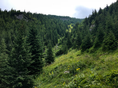 Looking back towards NW couloir at around 1550m, Kominarski Peak, Tatra NP