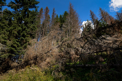 Near Juraniowa Pass, Tatra NP