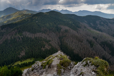 SW view from Jamborowy Peak 1565m with Iwaniacka Pass 1356m in the bottom, Tatra NP