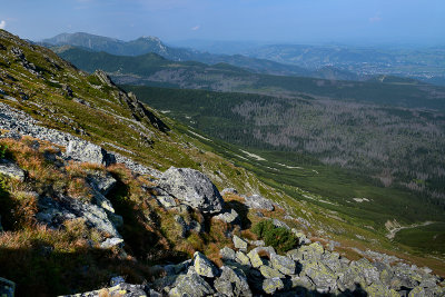 Looking down Panszczyca Valley from Koszysta ridge, Tatra NP