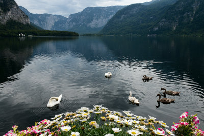 Hallstatt