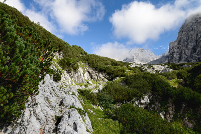 On the way up, far behind Torstein 2948m, Dachstein