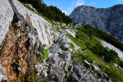 Mountain spring, Dachstein