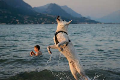 2021 ☆ Lombardy ☆ Lake Garda (Italy)