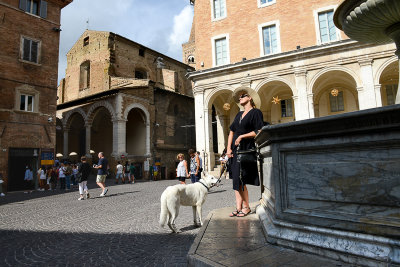 Urbino