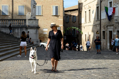 Urbino