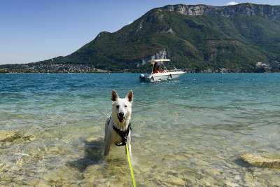 Lake Annecy