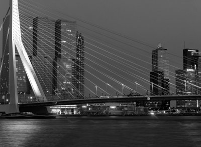 Rotterdam 10.jpg