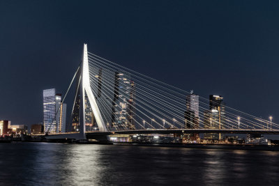 Rotterdam 13 .jpg