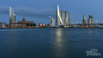 Rotterdam-2019019.jpg