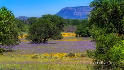 Watercolor Hill Country