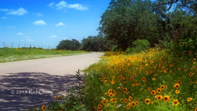 Mother's Day Road