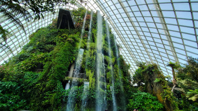Singapore Gardens by the Bay 1