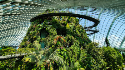 Singapore Gardens by the Bay 2