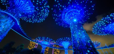 Singapore Gardens by the Bay Light Show