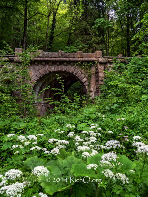 Bridge Over Wildflowers