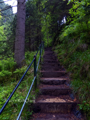 Breitnau Ravenna Gorge Trail