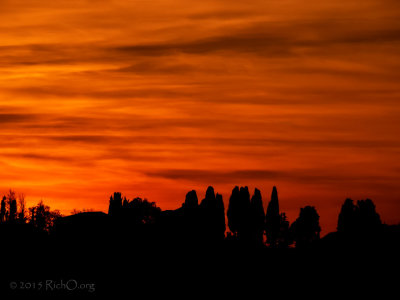 Siena Sunset