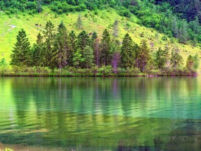 Koenigsee Trees