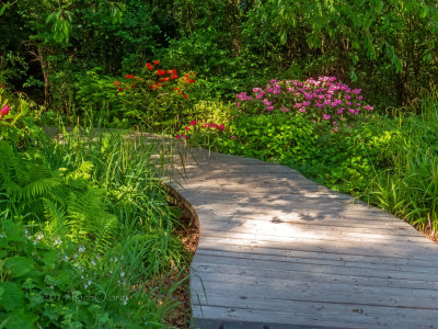 Kaiserslautern Gatenschau Garden Path