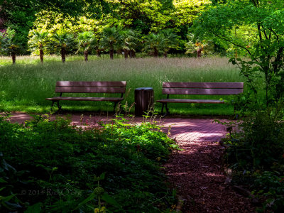 Cologne Botanical Garden benches