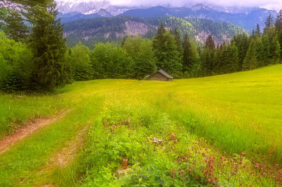 Garmisch Mountain Meadow