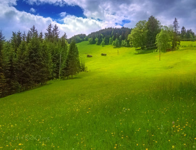 Garmisch - Top alpine meadow
