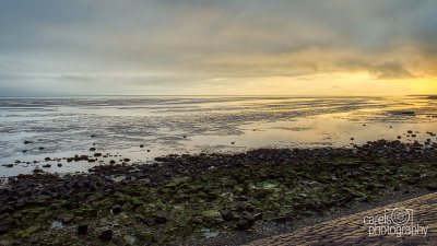 Terschelling-2019007.jpg