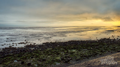 Terschelling-2019007.jpg