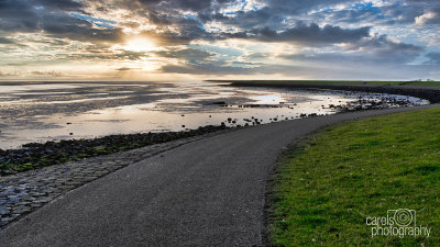 Terschelling-2019008.jpg