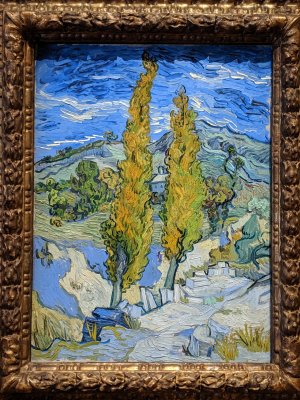 Van Gogh: The Poplars at Saint-Remy
