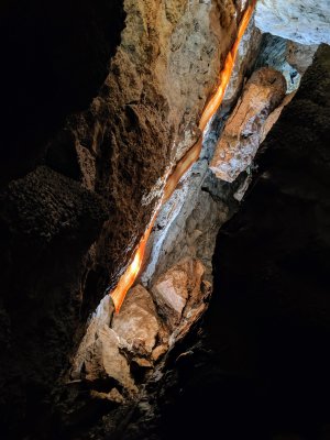 Cave bacon